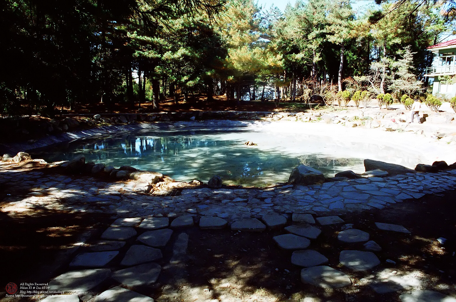 23820028.jpg